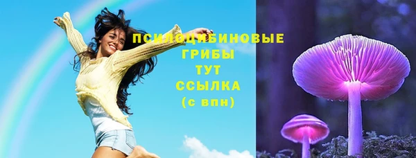 герыч Алзамай