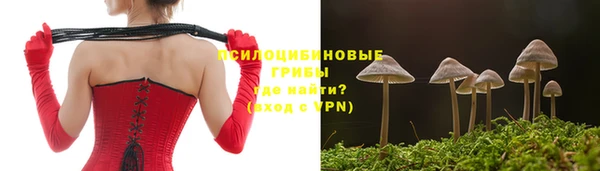 герыч Алзамай