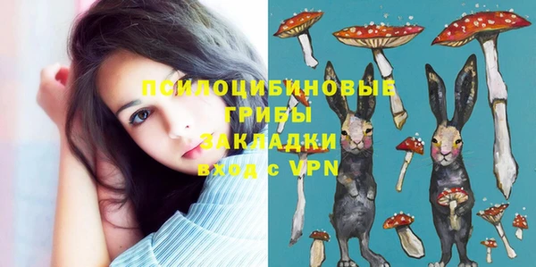спиды Алексин