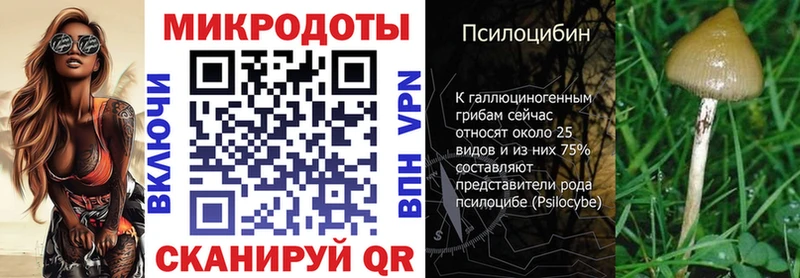 Псилоцибиновые грибы MAGIC MUSHROOMS  где купить   Геленджик 